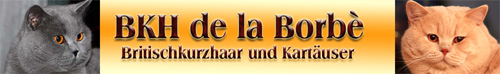 Banner- BKH de la Borb02